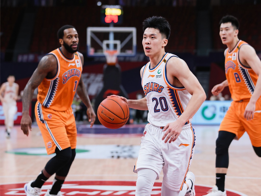 了稳定的精 了稳定的精